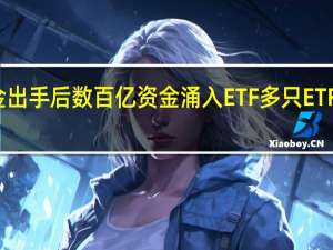 汇金出手后 数百亿资金涌入ETF 多只ETF蓄势待发