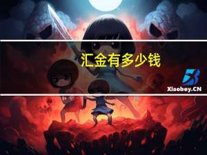 汇金有多少钱