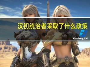 汉初统治者采取了什么政策