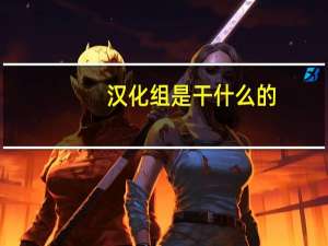 汉化组是干什么的