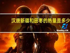 汉唐 新疆和田枣的热量是多少