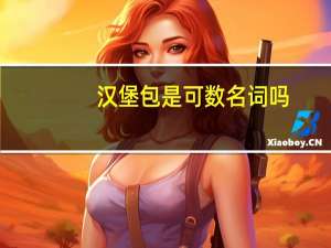 汉堡包是可数名词吗