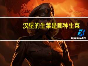 汉堡的生菜是哪种生菜