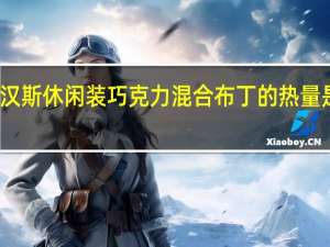 汉斯 休闲装巧克力混合布丁的热量是多少
