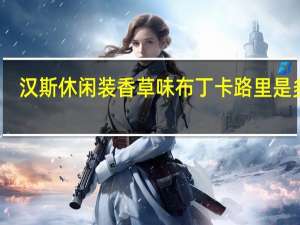 汉斯 休闲装香草味布丁卡路里是多少