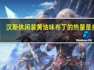 汉斯 休闲装黄油味布丁的热量是多少