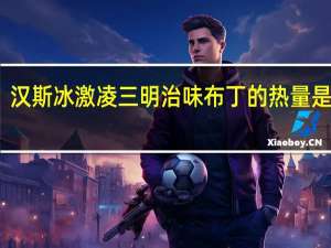 汉斯 冰激凌三明治味布丁的热量是多少