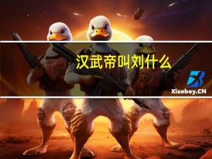 汉武帝叫刘什么
