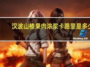 汉波山楂果肉浓浆卡路里是多少