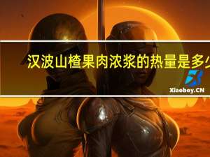汉波山楂果肉浓浆的热量是多少