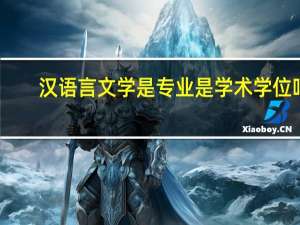 汉语言文学是专业是学术学位吗