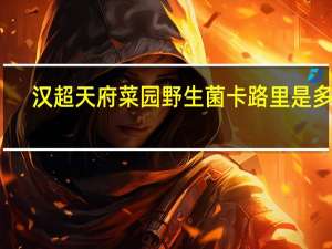 汉超 天府菜园 野生菌卡路里是多少