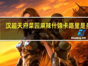 汉超 天府菜园 麻辣什锦卡路里是多少