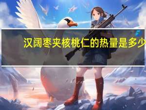 汉阔 枣夹核桃仁的热量是多少