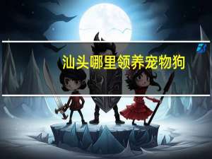 汕头哪里领养宠物狗