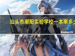 汕头市潮阳实验学校一本率多少