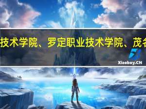 汕尾职业技术学院、罗定职业技术学院、茂名职业技术学院，这三个学校哪个比较好
