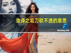 汝身之垢刀砍不透的意思