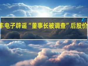 江丰电子辟谣“董事长被调查”后股价企稳 公司：针对不实信息已报警