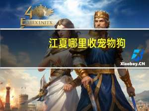 江夏哪里收宠物狗