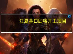 江夏金口即将开工项目