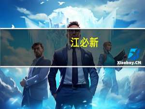 江必新（关于江必新的介绍）