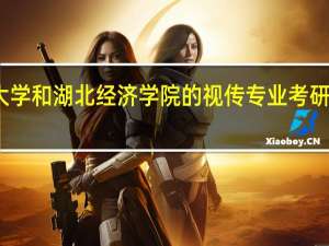 江汉大学和湖北经济学院的视传专业考研哪个学校好