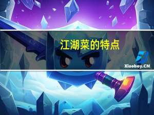 江湖菜的特点