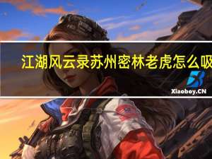 江湖风云录苏州密林老虎怎么吸引