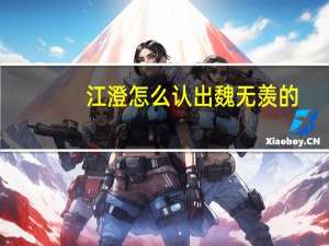 江澄怎么认出魏无羡的