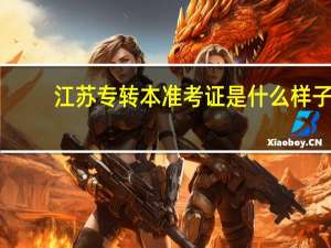 江苏专转本准考证是什么样子