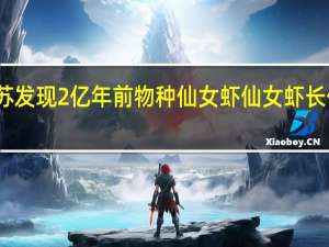 江苏发现2亿年前物种仙女虾 仙女虾长什么样呢