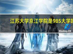 江苏大学京江学院是985大学吗