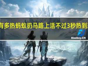 江苏有多热蚂蚁扔马路上活不过3秒 热到玻璃门爆裂