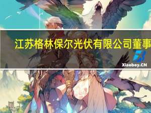 江苏格林保尔光伏有限公司董事长（江苏格林保尔光伏有限公司简介）