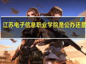 江苏电子信息职业学院是公办还是民办