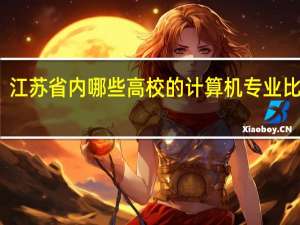 江苏省内哪些高校的计算机专业比较好。
