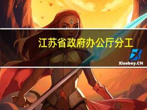 江苏省政府办公厅分工