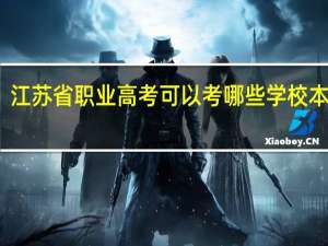 江苏省职业高考可以考哪些学校本科呢