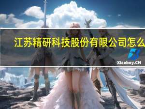 江苏精研科技股份有限公司怎么样