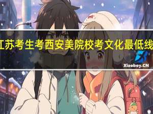 江苏考生考西安美院校考文化最低线是多少