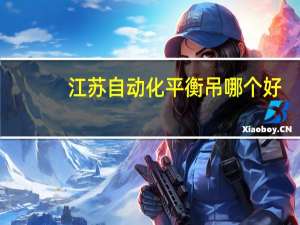 江苏自动化平衡吊哪个好