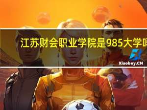 江苏财会职业学院是985大学吗