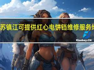 江苏镇江可提供红心电饼铛维修服务地址在哪