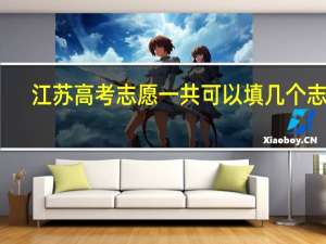 江苏高考志愿一共可以填几个志愿，第一第二批次各填8个还是一共8个5