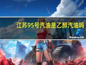 江苏95号汽油是乙醇汽油吗