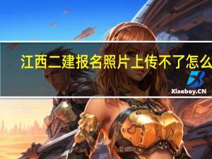 江西二建报名照片上传不了怎么办