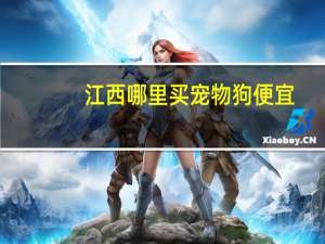 江西哪里买宠物狗便宜