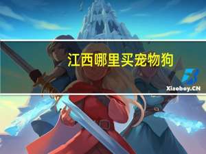 江西哪里买宠物狗