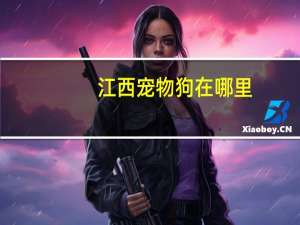 江西宠物狗在哪里
